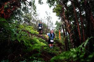 BIB: 
                            <button type="button" onclick="openModal(26201230)" class="btn btn-primary btn-sm float-right btn-popup" data-toggle="modal" data-target=".modal-high-quality">
                        <i class="fas fa-shopping-cart"></i> Add to Cart
                    </button>
                                            <button type="button" onclick="isThisMe(26201230, true)" class="btn btn-success btn-sm float-right btn-popup btn-isme hidden" data-toggle="tooltip" data-placement="bottom" title="นี่คือรูปของคุณใช่ไหม คลิกที่นี่เพื่อเอาเข้าอัลบั้ม">
                        <i class="fas fa-plus"></i> Add to album
                    </button>
                    <button type="button" onclick="isThisMe(26201230, false)" class="btn btn-warning btn-sm float-right btn-popup btn-isnotme hidden">
                        <i class="fas fa-ban"></i> Remove from album
                    </button>